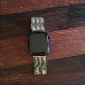 Blue Series 6 — 40 MM Apple Watch w/ Gold chained band.